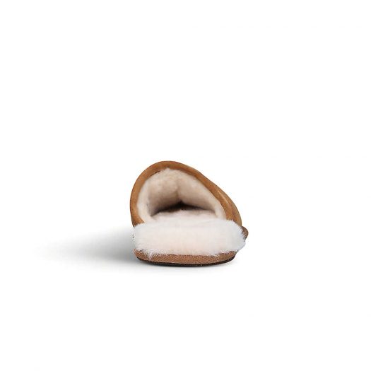 BROWN_ALT03