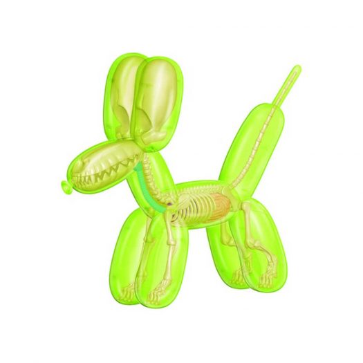 Jason Freeny 4D Master Funny Anatomy Balloon Dog Figure Clear Green