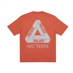 Palace Arc’Teryx T-Shirt Ochre