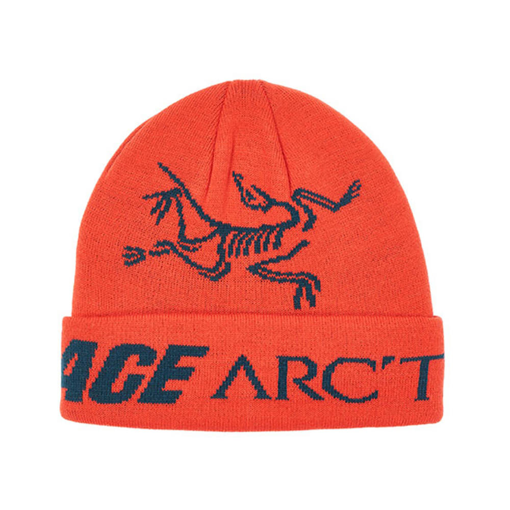 Palace Arc'Teryx Beanie Dynasty