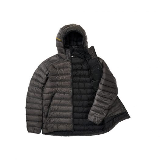 Palace Arc’Teryx Cerium LT Hoodie Grey