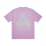 Palace Arc’Teryx T-Shirt Haze