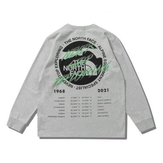 The North Face x Invincible Half Dome Graphic L/S T-Shirt Grey
