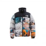 The North Face x Invincible The Expedition Series Mountain Jacket Multi