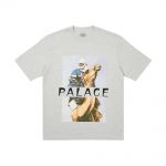 Palace Camel T-Shirt Grey Marl