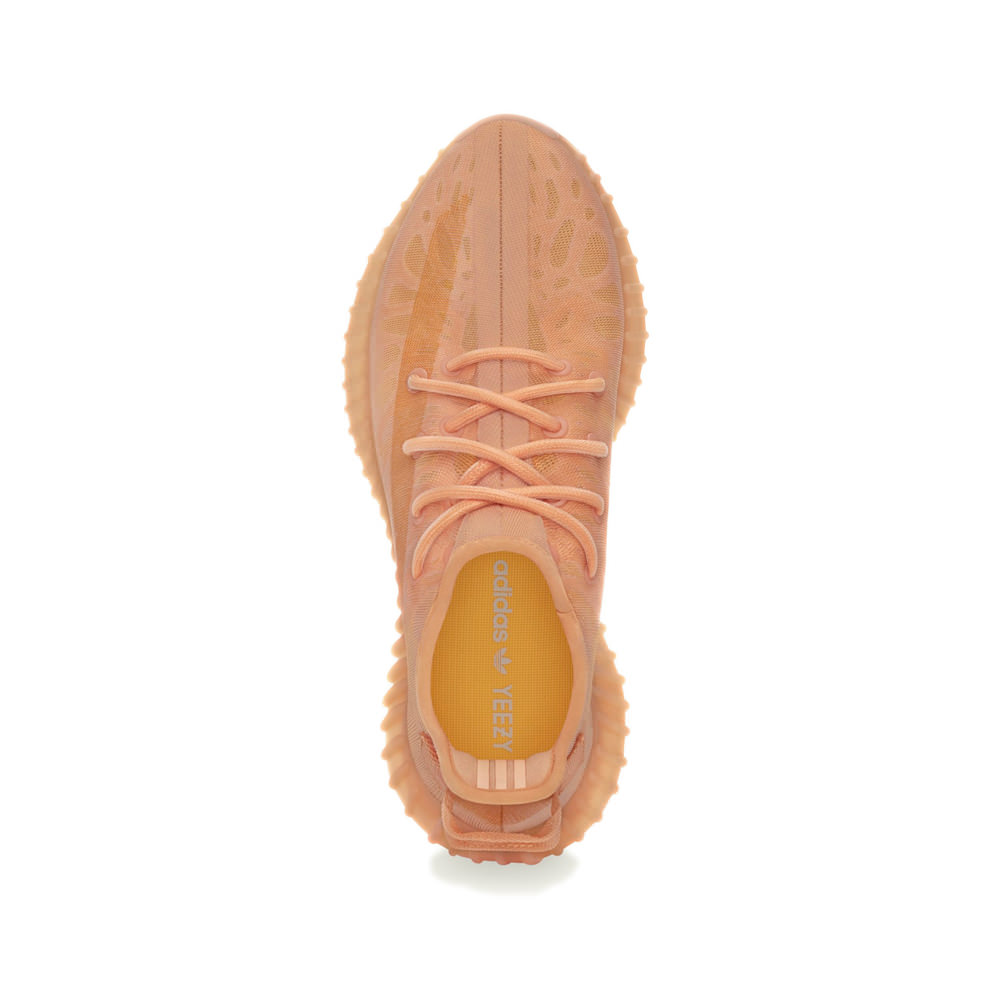 monoclay yeezy