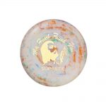 Supreme Wham-O Savior Frisbee Multicolor
