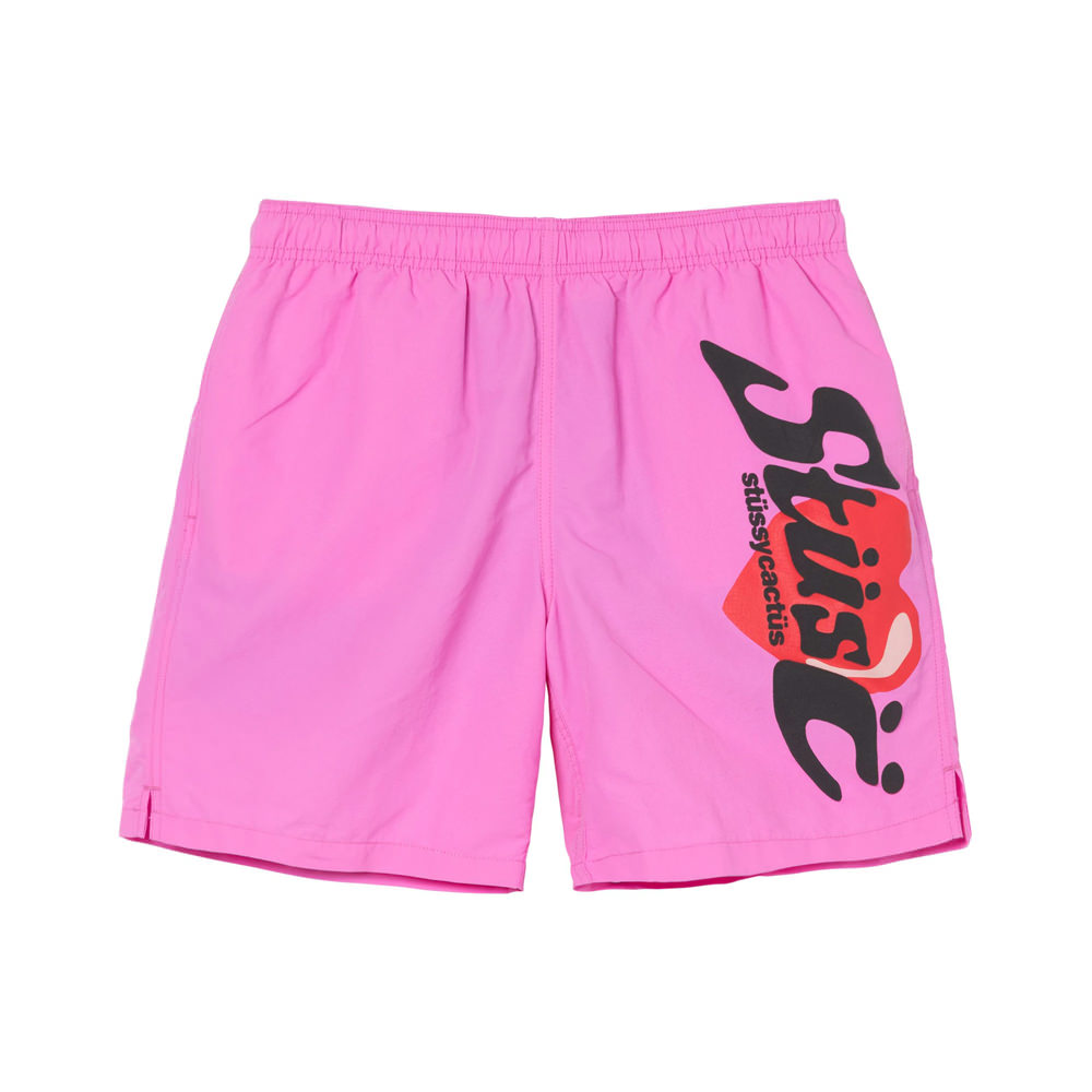 CPFM u0026 STUSSY WATER SHORT-