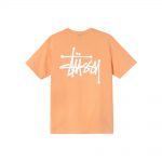 Stussy Basic T-shirt Peach