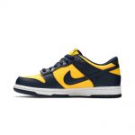 Nike Dunk Low Michigan (2021) (GS)