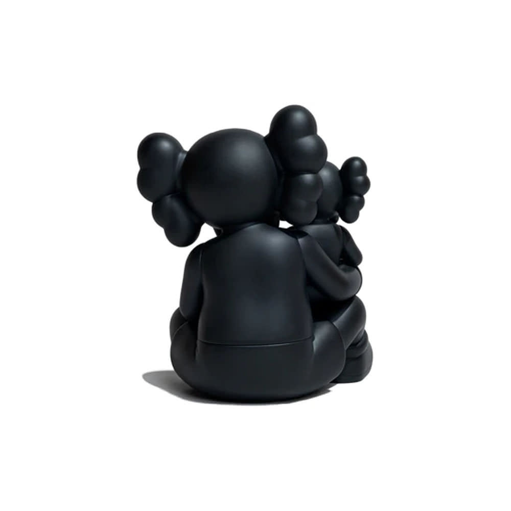 kaws changbai mountain black CHANGBAI-