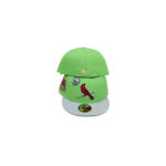 New Era St Louis Cardinals Capsule Claw Collection Busch Stadium 59Fifty Fitted Hat Green/Green