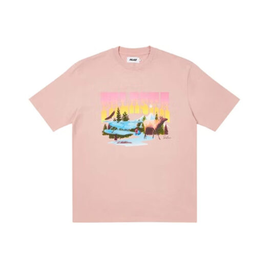 Palace Palaska Dye T-shirt Pink