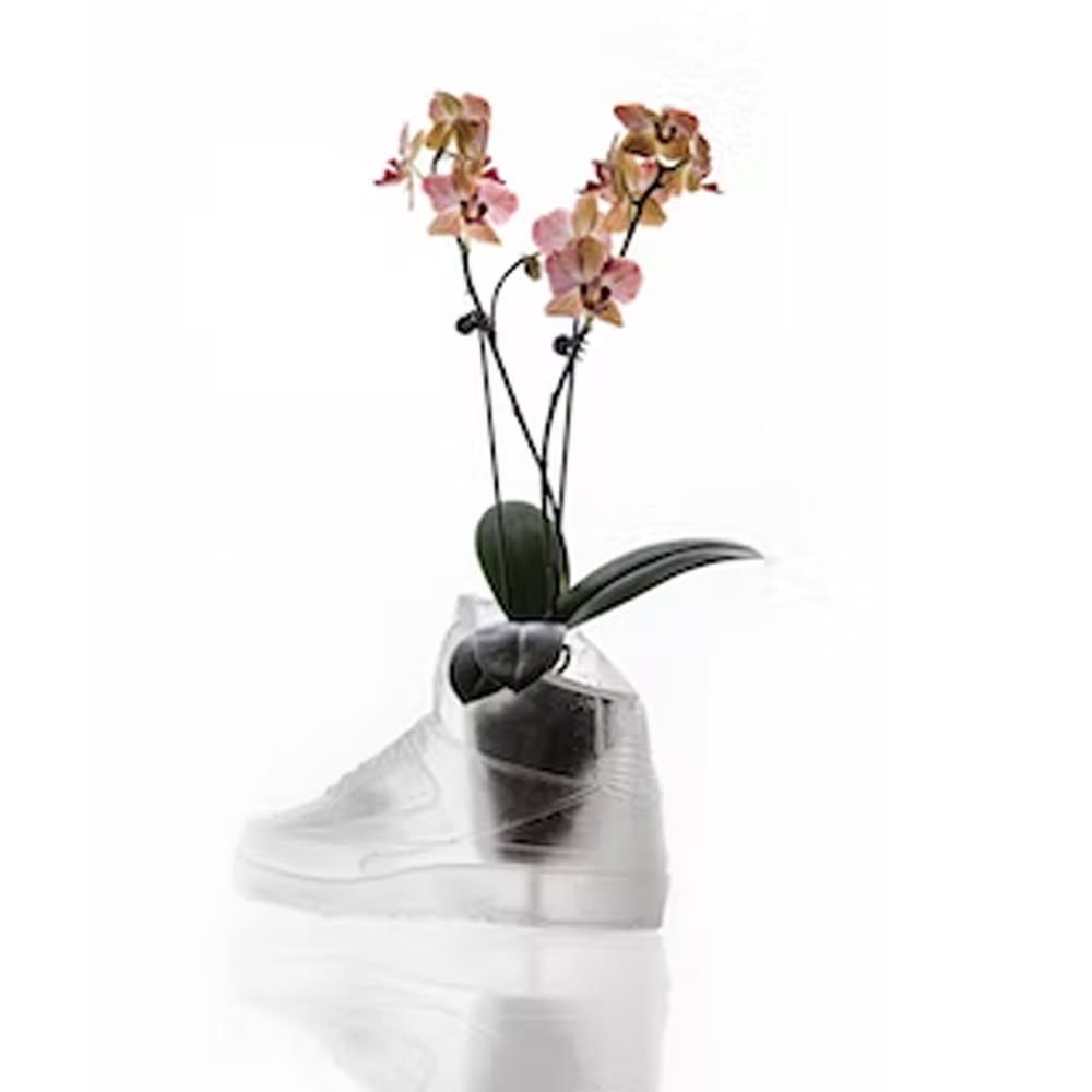 Mr. Flower Fantastic AJ2 PlanterMr. Flower Fantastic AJ2 Planter OFour