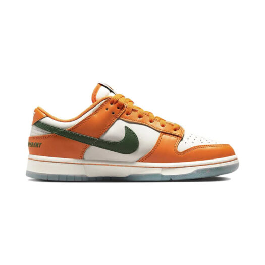 Nike Dunk Low Florida A&M University