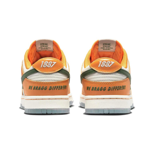 Nike Dunk Low Florida A&M University