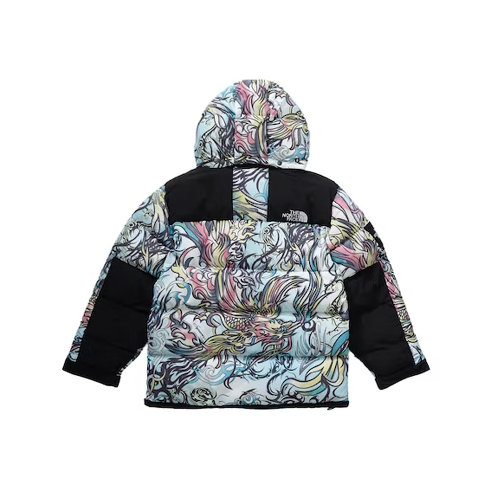 Supreme The North Face 700-Fill Down Parka Multicolor