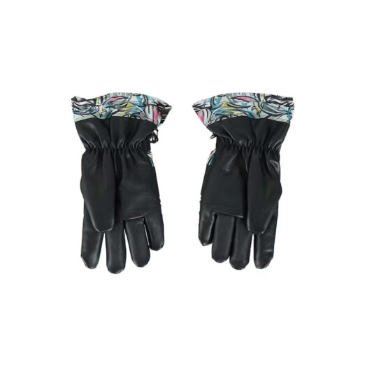 Supreme The North Face Steep Tech Gloves Multicolor Dragon