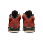 Jordan 5 Retro Dunk on Mars (W)