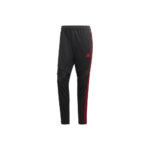 adidas Tiro 19 Training Pants Black/Scarlet