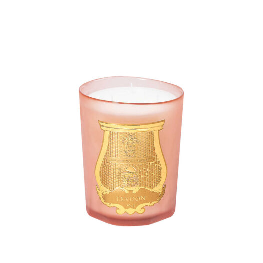 Tuileries scented candle 800g