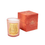 Tuileries scented candle 800g