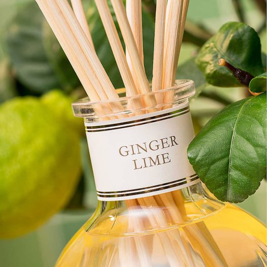 Ginger Lime reed diffuser 500ml