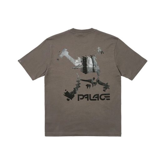 Palace x Oakley T-Shirt Grey
