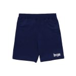 bape-mens-summer-premium-shorts-navy-1